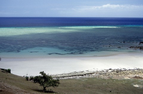Comoros: coral reef