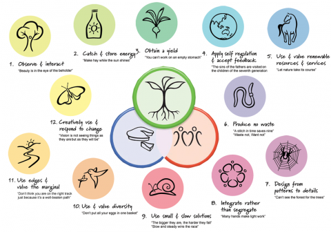 permaculture-principles-icons-1